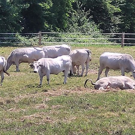 Agriturismo La Fornace Centro Ippico Como Eksteriør billede