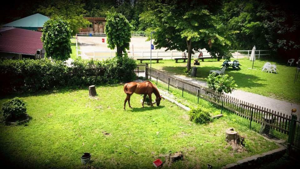 Agriturismo La Fornace Centro Ippico Como Eksteriør billede