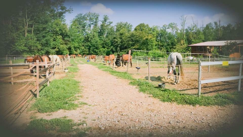 Agriturismo La Fornace Centro Ippico Como Eksteriør billede