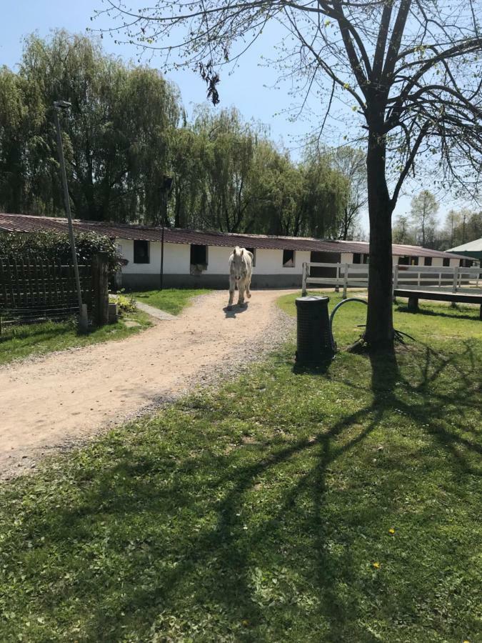 Agriturismo La Fornace Centro Ippico Como Eksteriør billede