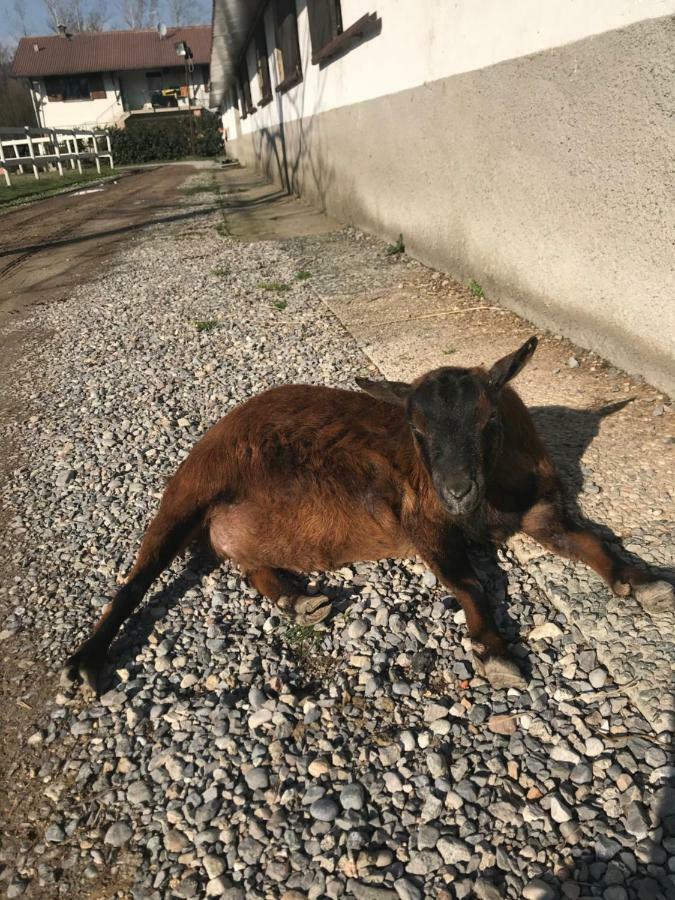 Agriturismo La Fornace Centro Ippico Como Eksteriør billede